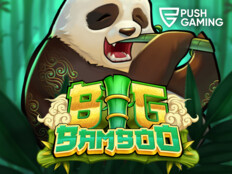 Pashagaming casino free spin1